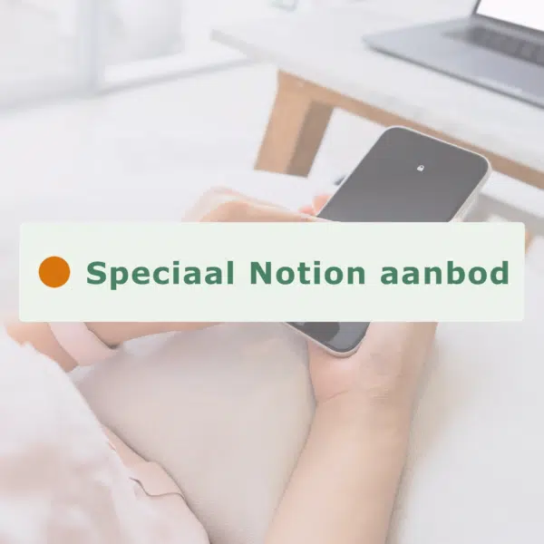 Speciaal workshop Notion aanbod: cursus en templates voor ondernemers!